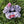 Load image into Gallery viewer, Scrunchie 80/20 - Lavender Fields
